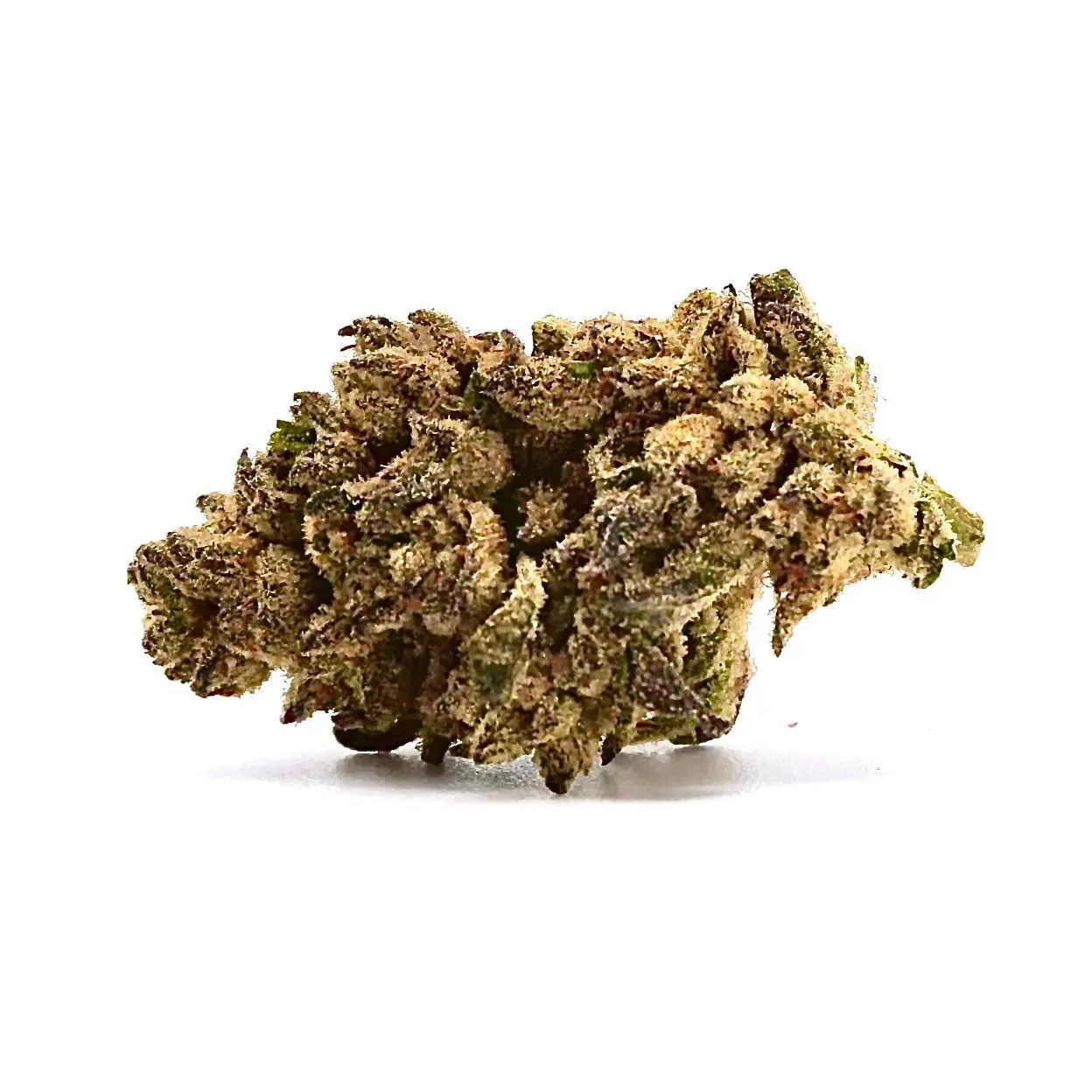 Gelato 41 (G41) Puffy Parcel