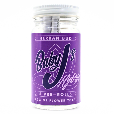 Herban Bud Baby J's 5-pack pre-rolls: Sherbacio [Hybrid](3.5g) Puffy Parcel