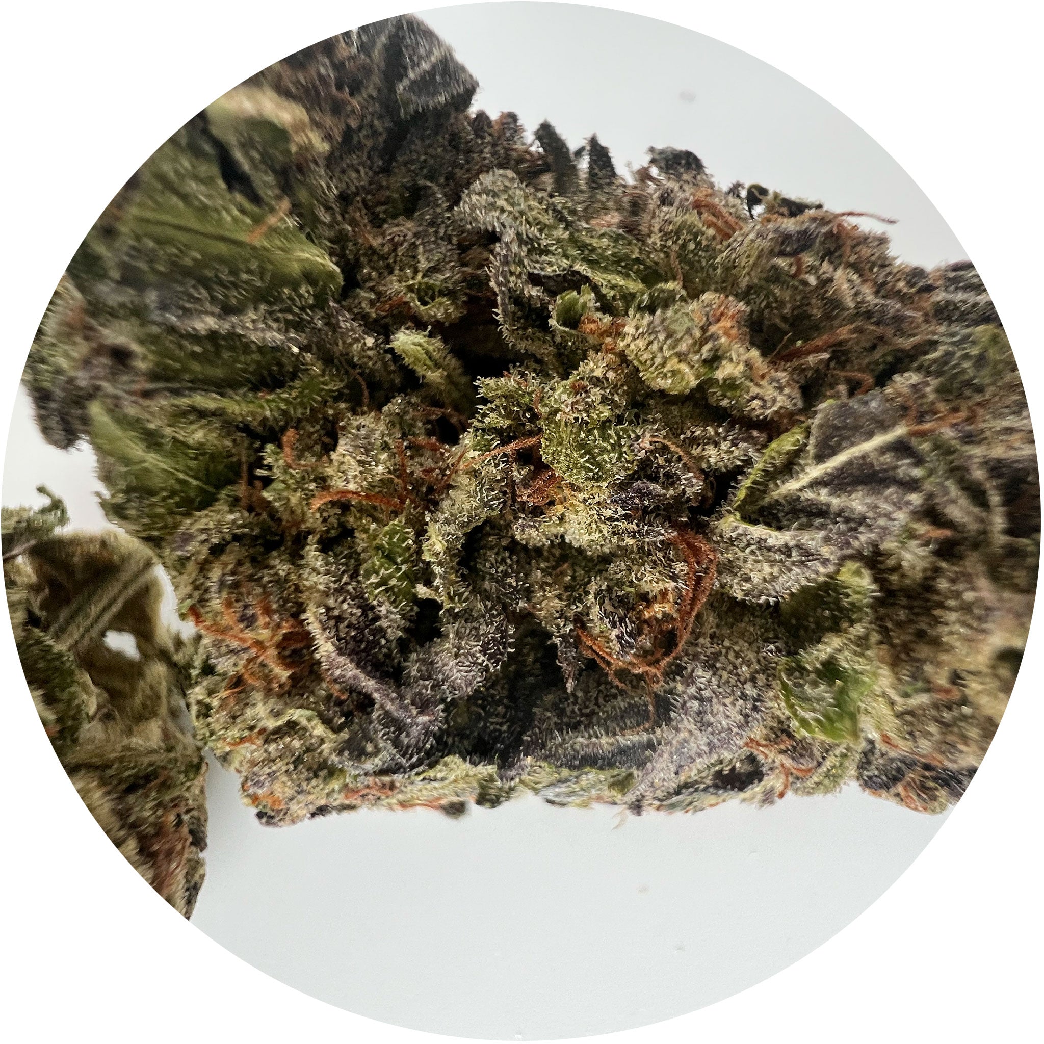 Banana Punch - Indica Dominant THCa Hemp Flower