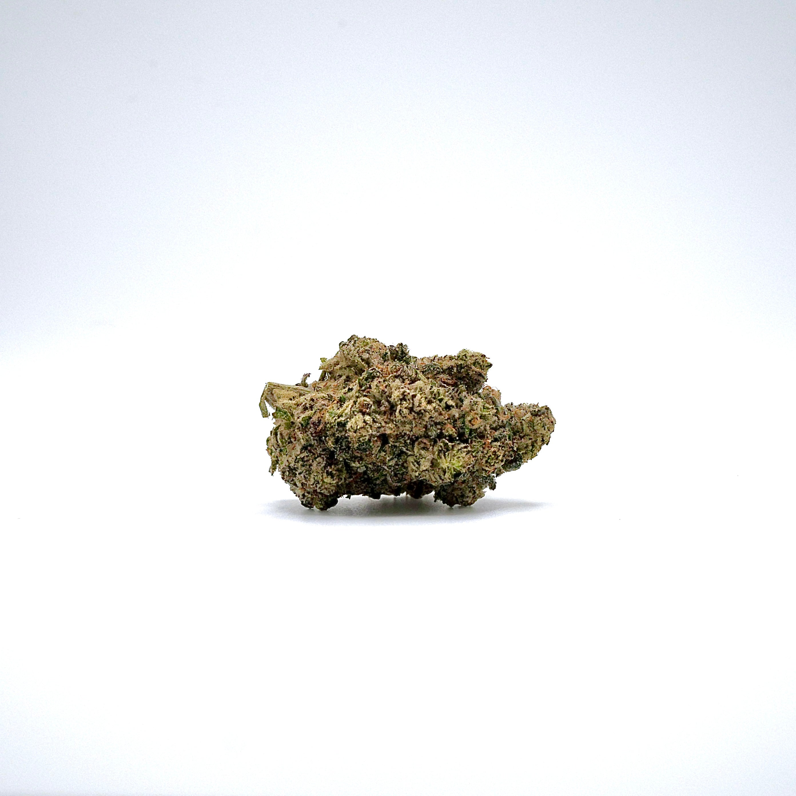 White Truffle