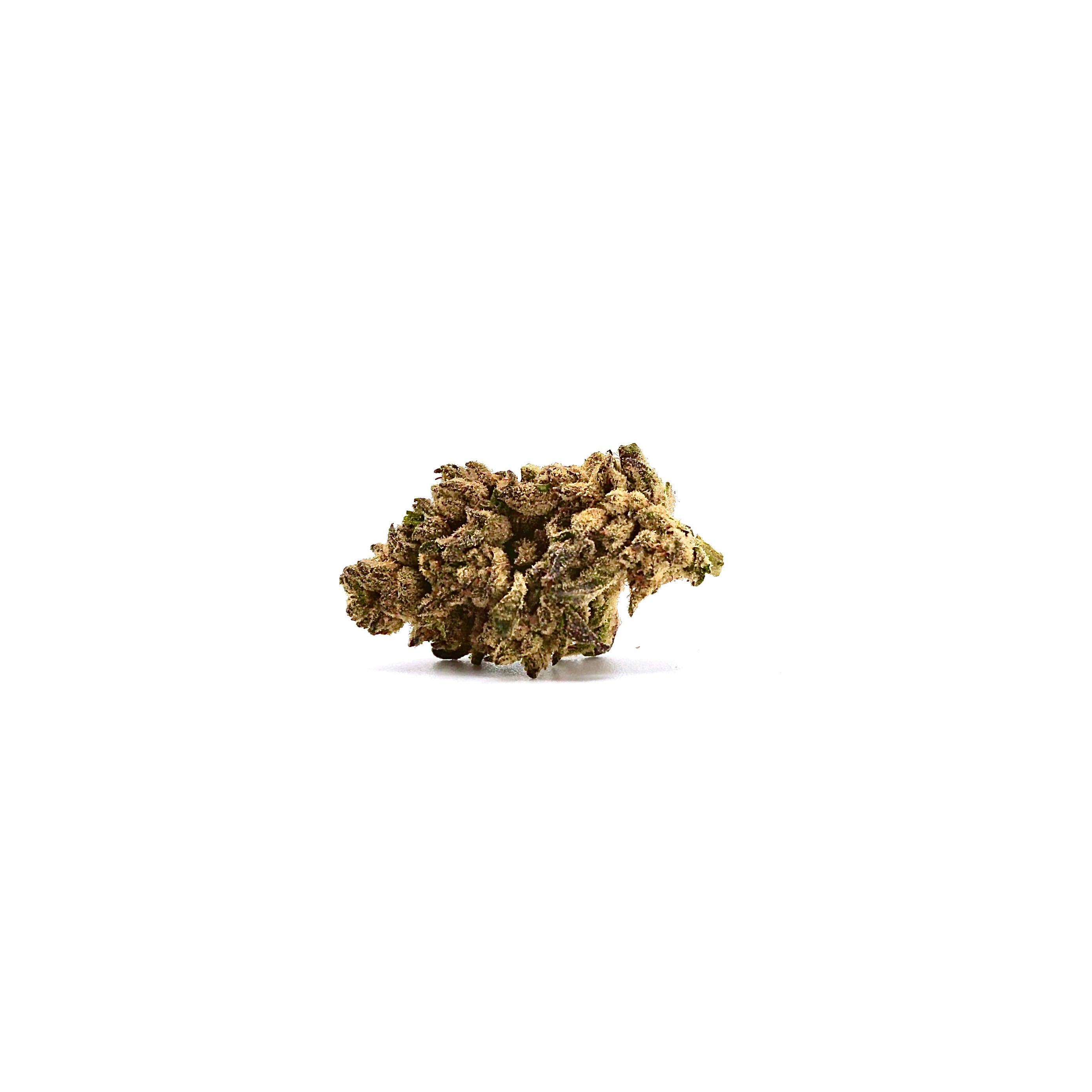 Gelato 41 (G41)