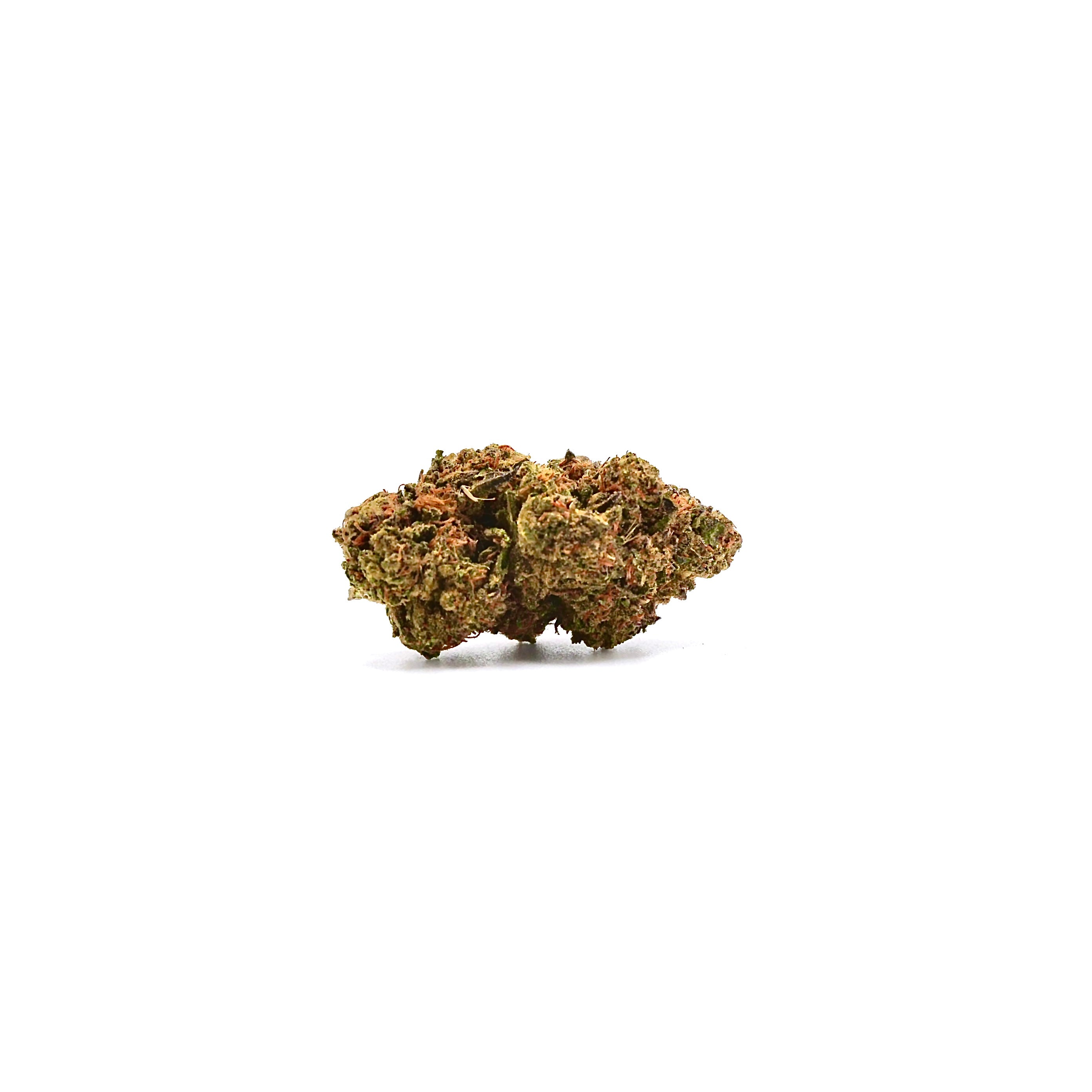 Gelato 45 (G45)