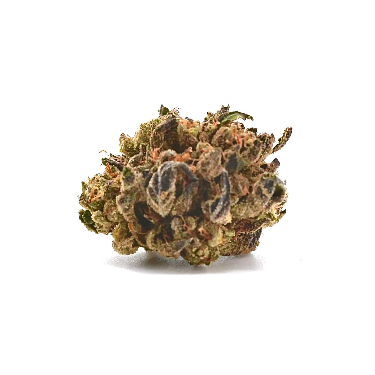 Sunset Black Ice (SBI)