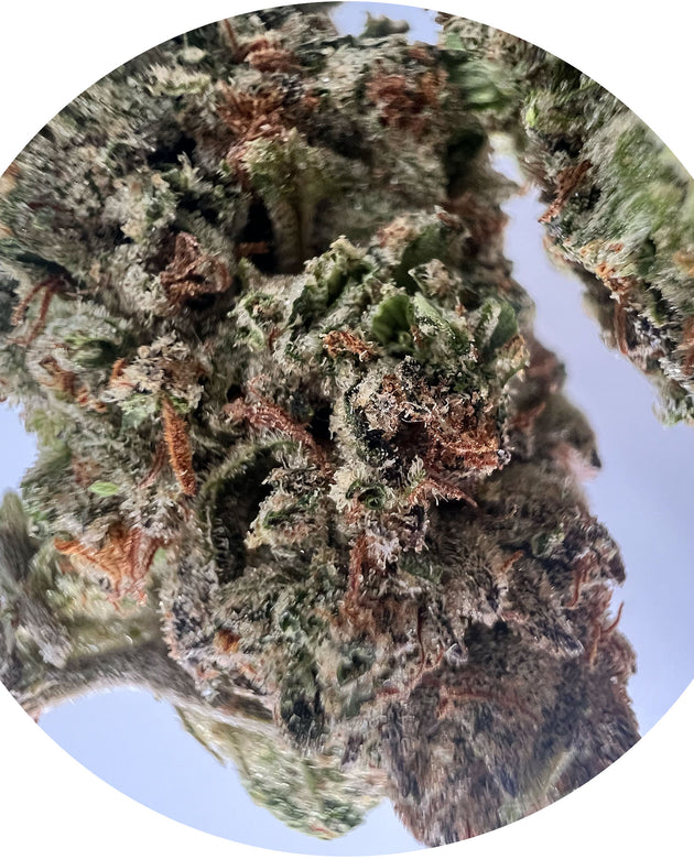 Snowcone - Sativa Dominant THCa Hemp Flower