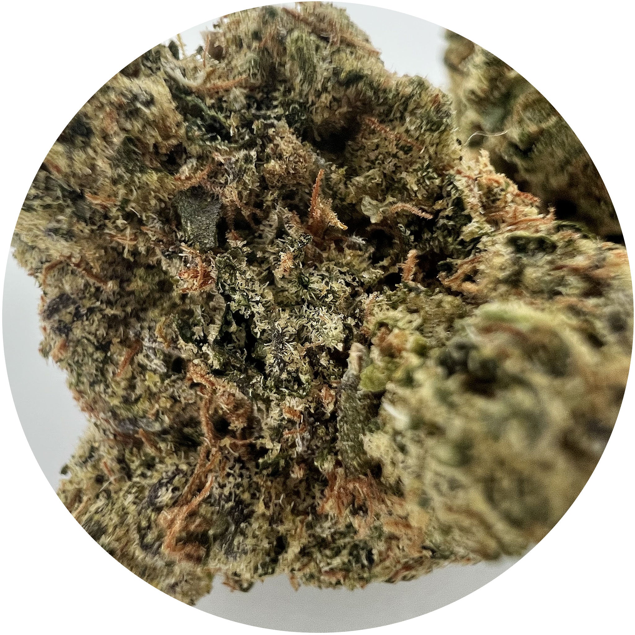 Sunset Runtz - Hybrid THCa Hemp Flower